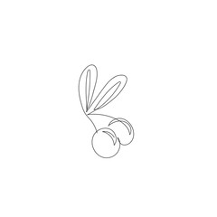 Berries and olive leaves. Continuous drawing of a single line, a vector design template in a linear style. Outline of an olive vector icon