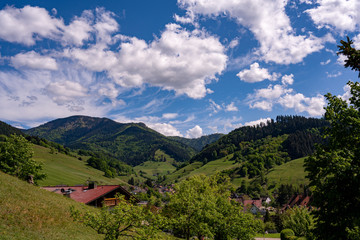 Fototapeta premium Beautiful landscape in the Black Forest near the small village Muenstertal with mountains and forests for hiking and vacation