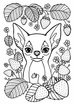 Coloring page. Lovely dog with heart for Valentines Day card. Anti stress colouring picture with chihuahua. Freehand sketch drawing with doodle elements