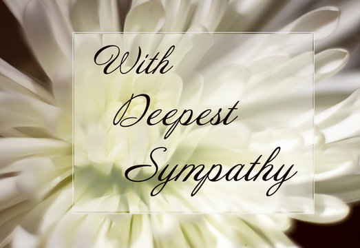 White flower with Deepest Sympathy on white card
