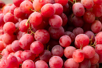 Aalu bhukhara fruits or plum fruits, genus Prunus, are being sold in New Market area, Kolkata, West Bengal, India.
