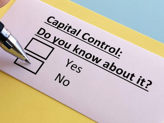 Obraz premium One person is answering quetion about capital control.