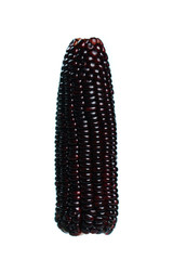 Purple corn  isolated on white background. isolated