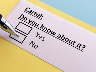 Obraz premium One person is answering quetion about cartel.