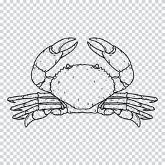 Crab isolated on a transparent background. Vector illustration.