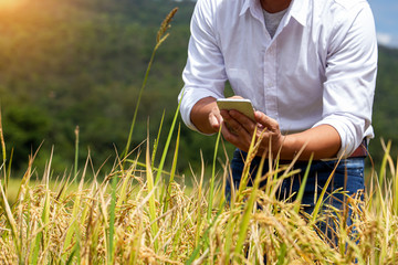 Hands of farmer, Agriculture technology farmer man using tablet Modern technology concept agriculture.