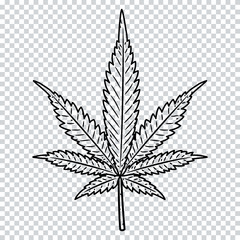 Cannabis leaf isolated on a transparent background. Marijuana leaf.