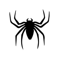 Tarantula silhouette on white background