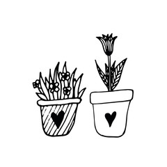 Hand drawn doodle illustration of  plants in a pot. Minimal pot with garden flowers
