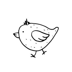 Single hand drawn bird for summer and spring decoration or design. Doodle illustration. Isolated on white background
