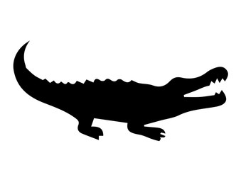 Crocodile silhouette on white background