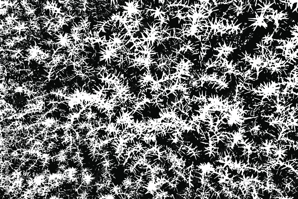 Poster grunge texture of the coniferous juniper tree. vector illustration. overlay template