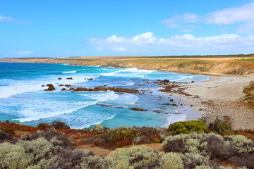 beach and sea in port lincoln, south australia