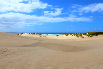 Fototapeta na wymiar sand dunes on the beach in port lincoln, south australia