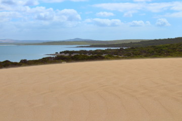 Fototapeta na wymiar beach in port lincoln, australia