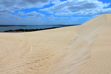 Fototapeta na wymiar sand dunes on the beach in port lincoln, australia