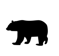 Bear Silhouette On White Background,