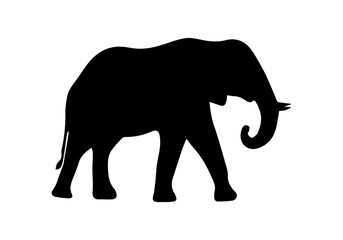 Silhouette of elephant on white background