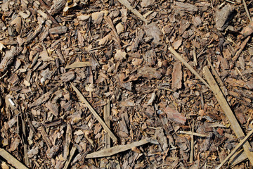 Wooden background from sawdust, tree bark and garbage
