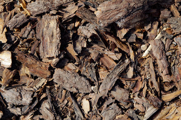 Wooden background from sawdust, tree bark and garbage