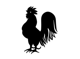 Silhouette of rooster on white background