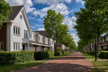 Residential street in the Netherlands with wide cycle lane, green hedge and no cars. Urbanism design for slow transportation neighbourhood         