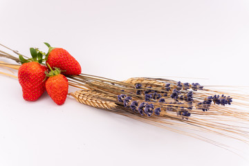 Arrangment of strawberries on dried lavender and wheat - smell of summer