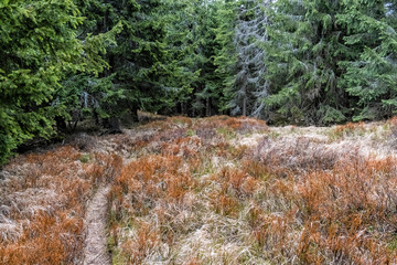 Kohut hill, Stolica mountains, Slovakia, seasonal natural scene