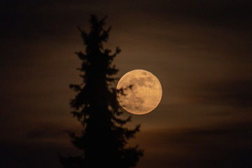 Fototapeta premium Mond - Vollmond aufgang