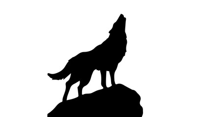 Silhouette of wolf on white background