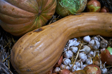 Image of pumpkin and garlic.