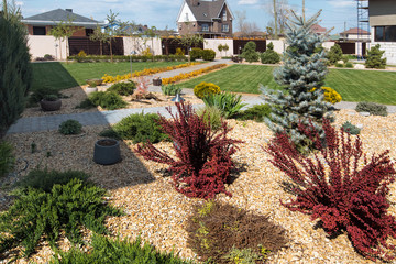 Conifer garden design. Modern garden design. Red and green bushes on gold gravel. Horticulture....
