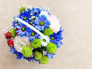 Basket with flowers, a bouquet of flowers blue chrysanthemums on a plain background.