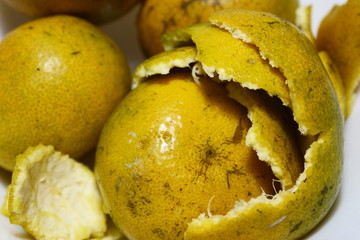 Isolated fruit orange with white background.
