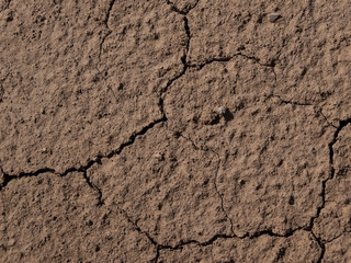 dry brown earth texture with cracks