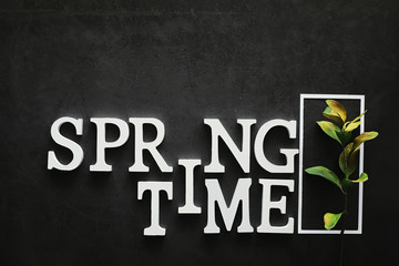 Obraz premium Poster concept. On a dark background the inscription about springtime.