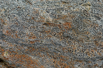 Speckled stone texture closeup