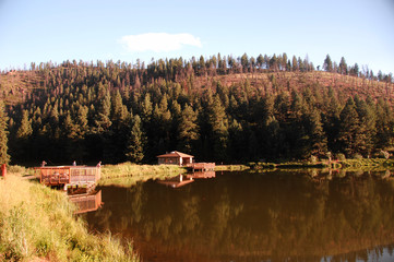 nature lake water landscape  river tree