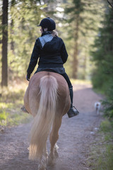 Woman horseback riding in forest