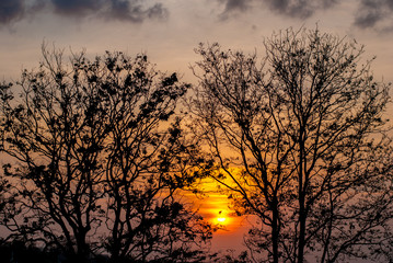 Obraz na płótnie Canvas Sunset with the shadow of the tree