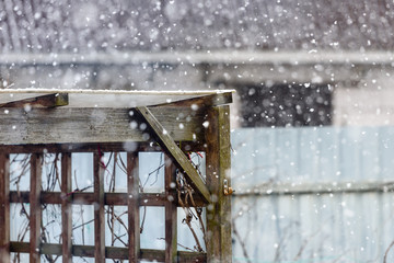 Snow is falling outside - cold weather and frosts at the beginning of the season