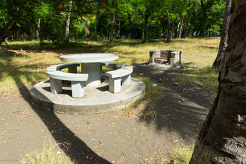 barbecue et tables de pique-nique dans la forêt