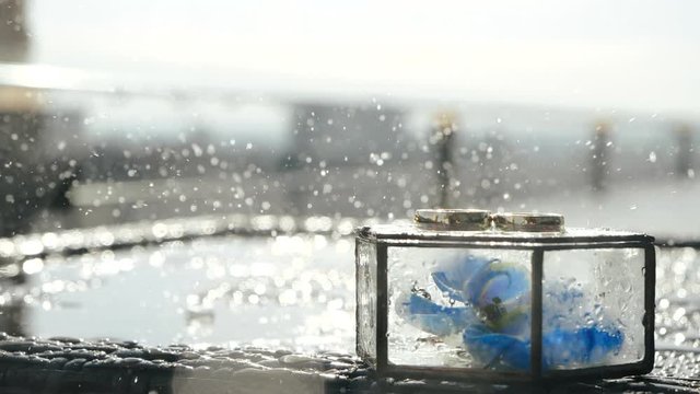 Close-up shot of two gold wedding rings lying in a glazed hexagonal wedding casket, inside of which is a blue orchid flower under dripping rain and sun. Water pours onto a glass box in slow motion.