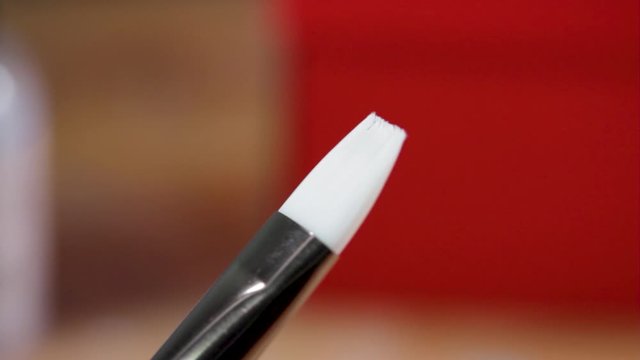 Close Up of Clean White Paint brush on red background for art and acrylic painting