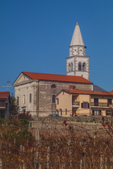 Obraz premium A tyical coastal church in southern Slovenia in the village of Pliskovica on a sunny day in autumn. Grapevine in the foreground.