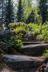 Stone path. Stone steps. A beautiful landscape.