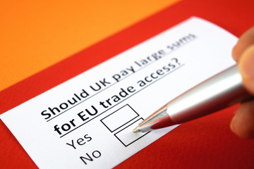 Should UK pay large sums for EU trade access? Yes or no?