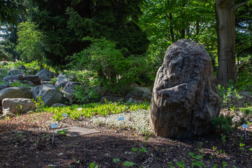 Big stone, boulder in a botanical park.