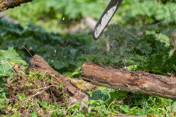 Man works by chainsaw.