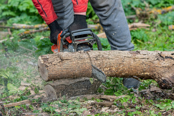 Man works by chainsaw.